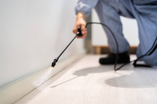Bed Bug Pre-Treatment Preparation Assessment in Clute