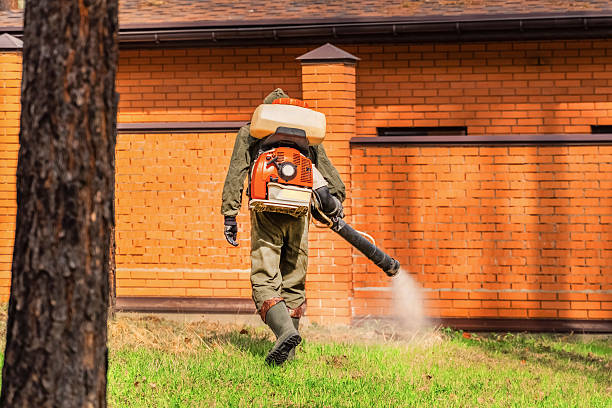 Bed Bug Clearance Verification and Documentation in Clute